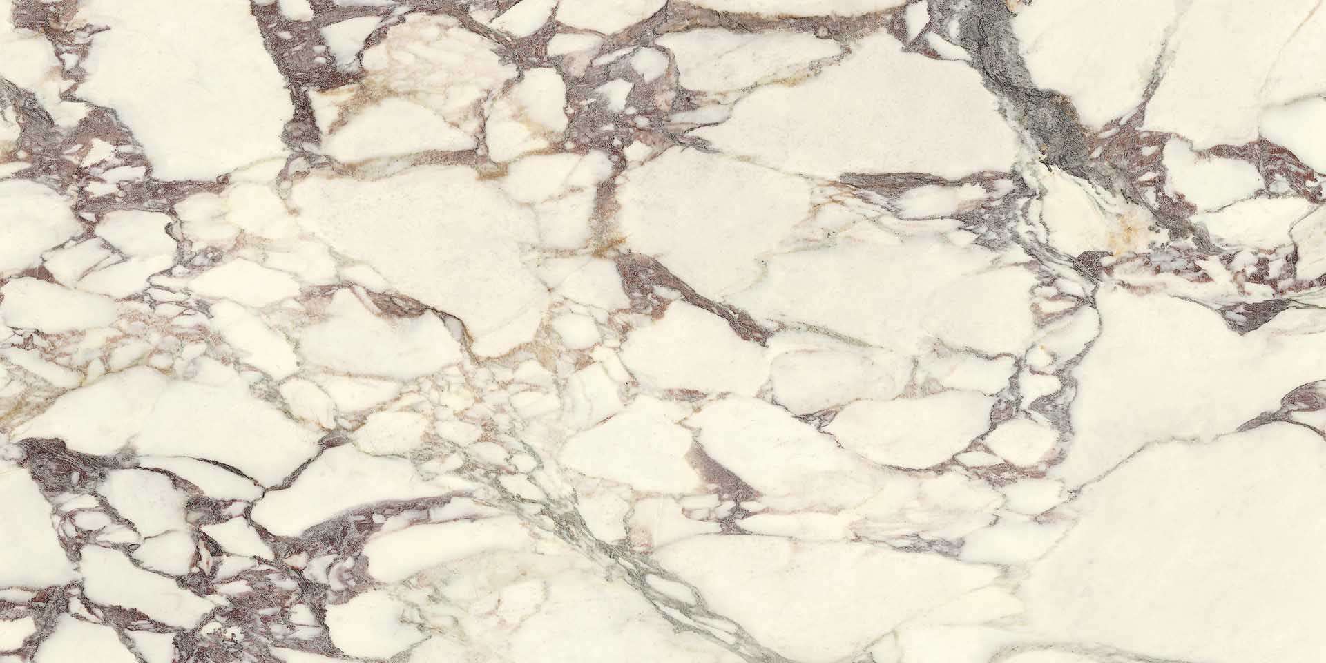 Breccia Medicea Naturale 60x120